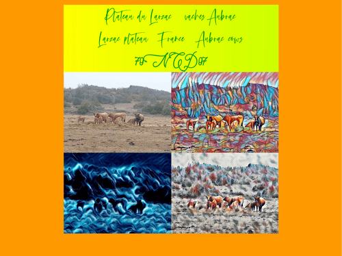 Nat7Dom's profile picture. Neuroatypique ♀ dans un monde dystopique

Selon St Jean :
La Lumière (de la vérité) luit dans les ténèbres (du mensonge) et les ténèbres ne l'ont point arrêtée.