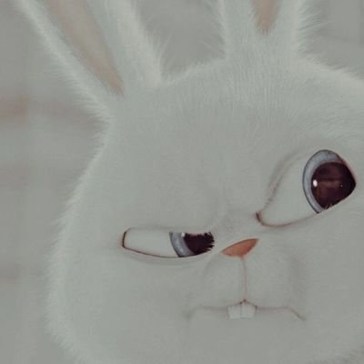 crisstiansanc's profile picture. rock and roll.

I Love cat.