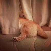 James May❤ Memecoin (@jamesma63525535) 's Twitter Profile