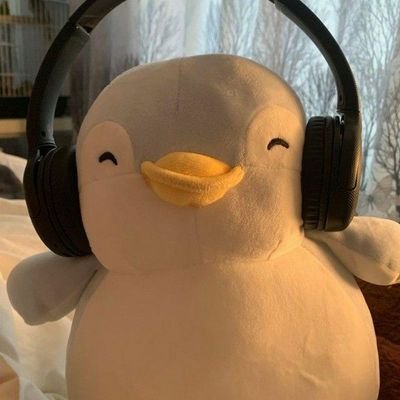 gomawogyu's profile picture. — always seventeen, spark collecting #김민규
priv = offline