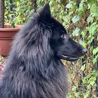 Jeff, Banner & Shiloh (@iamjeffwebster) 's Twitter Profile
