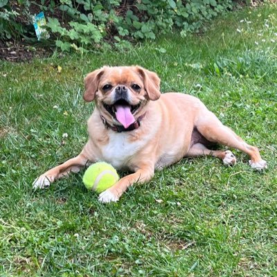 fossibaer2's profile picture. … Kritisiert Unrecht egal von wem es kommt!…