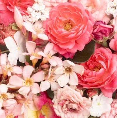 Id6bsPfg's profile picture. 女風垢&目の保養垢

  ※無言フォロー失礼します。
【関西在住】