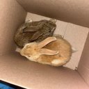 Raymond Dyson - @NxR_RaY - Twitter