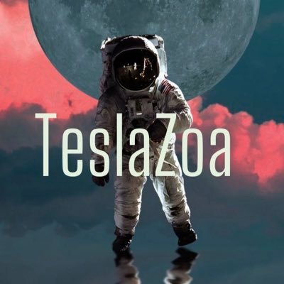 TeslaZoa Profile Picture