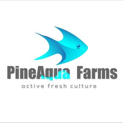 Catfish and tilapia booking 0206502450 | 054 155 7081 (fingerlings | juvenile | Broodstock )

Fish Pond construction, setup, and filtration.  Free support.
