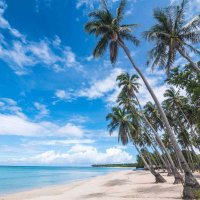 Cleared Travel (@cleared_travel) 's Twitter Profile