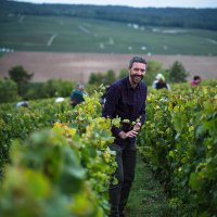 Champagne Pouillon (@pouillon) 's Twitter Profile