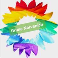🌻Grüne Nörvenich (@gnorvenich67118) Twitter profile photo