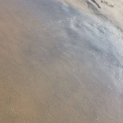 Marvellous_264's profile picture. Discussion are welcomed