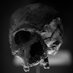 Skull Lovers Hub (@skulllovershub) Twitter profile photo