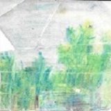 たけのこさんのプロフィール画像
