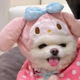 nessmedya's profile picture. @limonlukavunn arsiv 🌟
calmayin♡