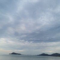 bacuongnop (@bacuong12218062) 's Twitter Profile