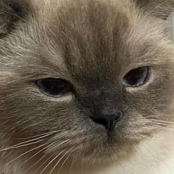 papanana55's profile picture. 🫵 ไม่ใช่แอคเสวไม่ต้องฟอลมา!!!!