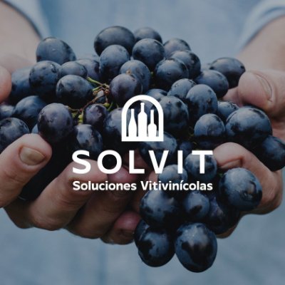 Insumos para la Industria Vitivinícola 🍇🍷🍾 | 📲 097 228 873 - 097 571 222