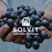 Solvit (Soluciones Vitivinícolas) (@solvituy) Twitter profile photo Solvit (Soluciones Vitivinícolas) (@solvituy) Twitter profile photo