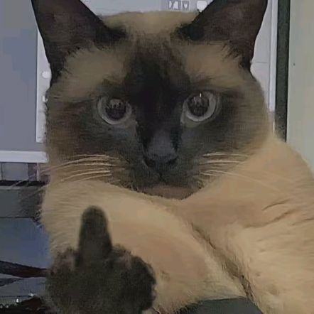 becbecloveyou's profile picture. 