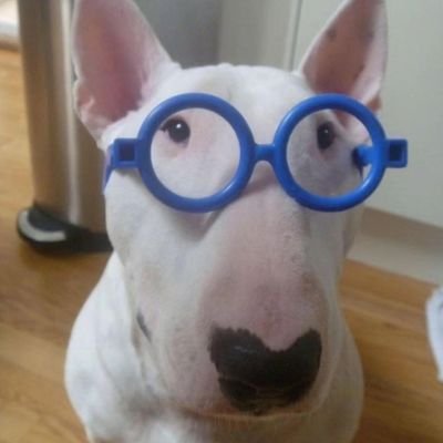 elaLKJA's profile picture. 