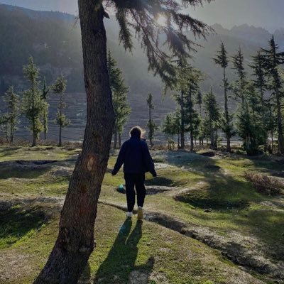 seth_meyerz's profile picture. mujhe bhi shitpost karna hai