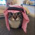 billah😼 (@billah_hu_bhai) Twitter profile photo billah😼 (@billah_hu_bhai) Twitter profile photo