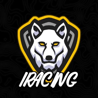 Welcome to the official page of the Future Racing Team iRacing eSports Team.