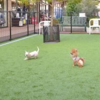 はやと@FX/自動売買/GOLD EA/就職/相場/為替取引/日銀/ドル円/ (@aleentinsl93207) Twitter profile photo