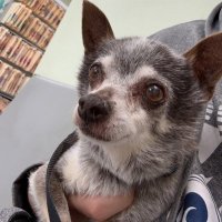 quiver (@quiverxiii) 's Twitter Profile