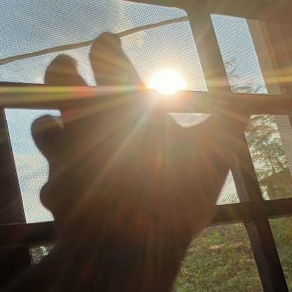 epicpainz's profile picture. I'm a simple person with a complicated mind. So it doesn't really matter.