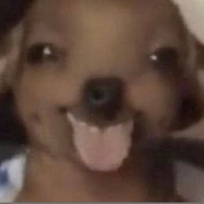 hellorfltorre's profile picture. 👻