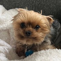 JackTheCEO(@JackTheCEO) 's Twitter Profile Photo