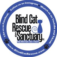 Blind Cat Rescue(@BlindCatRescue) 's Twitter Profileg