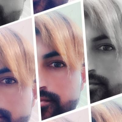 amjumomal031130's profile picture. lover