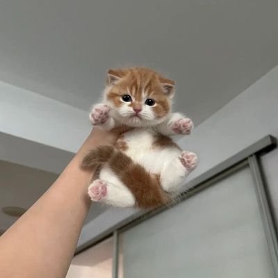 𝒃𝒕𝒔 𝒍𝒐𝒗𝒆 𝒃𝒐𝒕. ☈