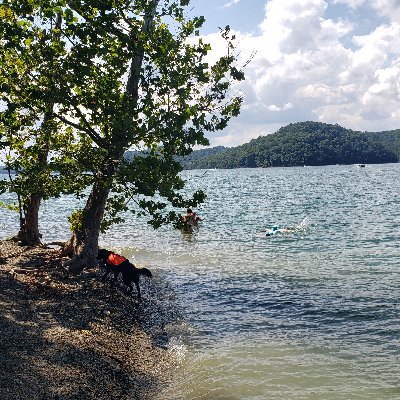 silent_thunderr's profile picture. World events, Geopolitics, OSINT, War, F1, anything else I find interesting. Gen X. Politically homeless. #followatyourownrisk