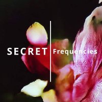 Secret Frequencies(@ScrtFrequencies) 's Twitter Profile Photo