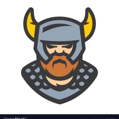 Viking Crypto Warrior