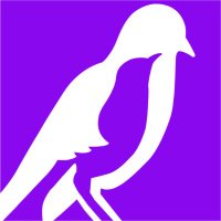 Mockingbird Society (@mb_society) 's Twitter Profile
