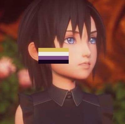 noah_starrysky's profile picture. 22 | they/he/she | Queer 🏳️‍🌈 | TGCF | UTDR | TSHD | Kingdom Hearts | TWEWY | Hollow Knight | Xenoblade | NGE