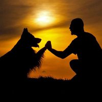 SEVGİ & MERHAMET (@sevgimerhamet) 's Twitter Profile Photo SEVGİ & MERHAMET (@sevgimerhamet) 's Twitter Profile Photo