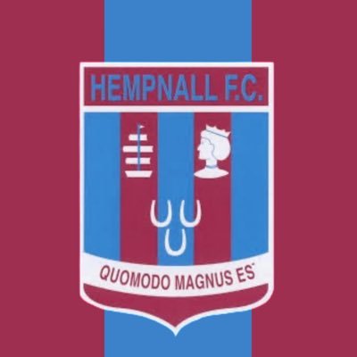 Twitter account for Hempnall FC. 1st team Ang Comb Div 3 #UTH 💜💙