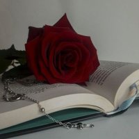 Ceylin Tuana (@ceylintuana2) 's Twitter Profile