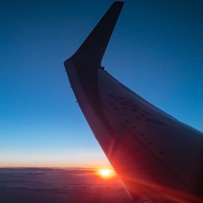 livvincool's profile picture. 