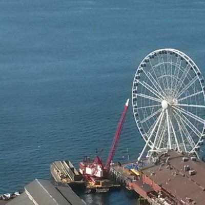 Toypaniqueada's profile picture. No soy troll, sólo soy amargada y recién llegada. Si me sigues te sigo.