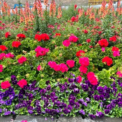 LGGodt's profile picture. 