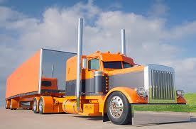 just a single truck driver ,driving coast to coast for something wet and can ride this rig all night