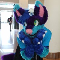 Oxi (@oxithefoxfr) 's Twitter Profile