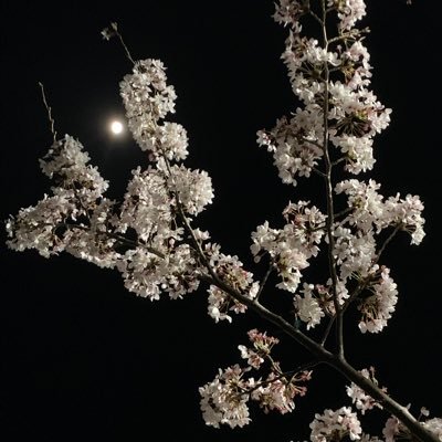 2さんのプロフィール画像