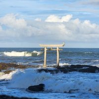 ピクルス (@kazumaru913) Twitter profile photo