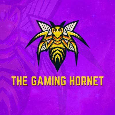 GamingHornet97 Profile Picture